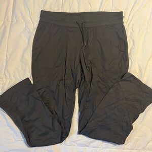 Grey North Face hiking pants NWOT